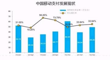 中枪后真实枪伤图片_杭后中高收入人群比例(2)