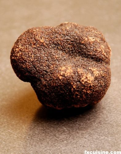 比黄金还贵的顶级食材:松露